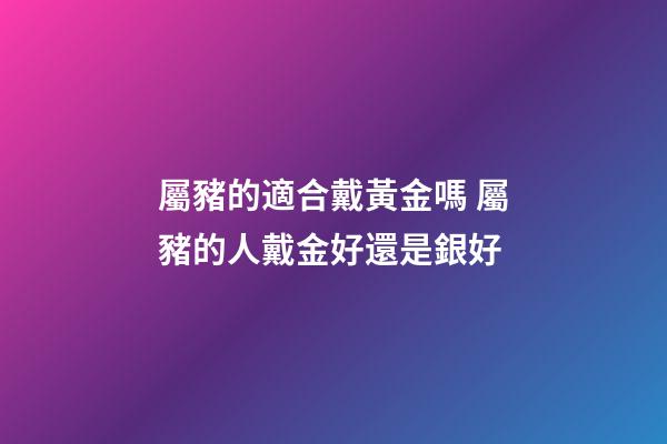 屬豬的適合戴黃金嗎 屬豬的人戴金好還是銀好-第1張-觀點-玄機派